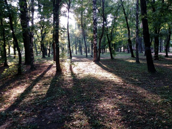 Парк ветеранов труда Вологда