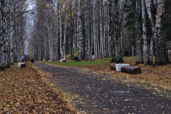 Парк мира Вологда