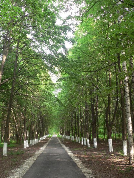 Вологда парк ПКИО