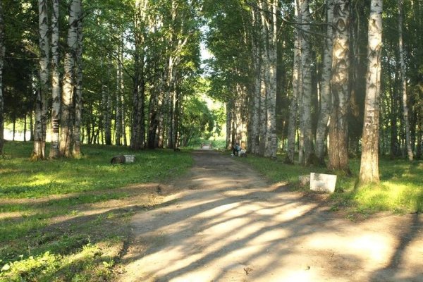 Вологда парк ПКИО