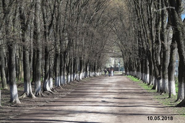Вологда новая аллея в парке ветеранов