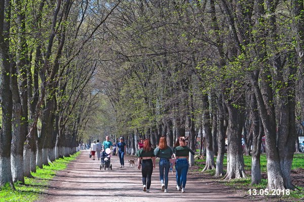 Парк Вологда Заречье