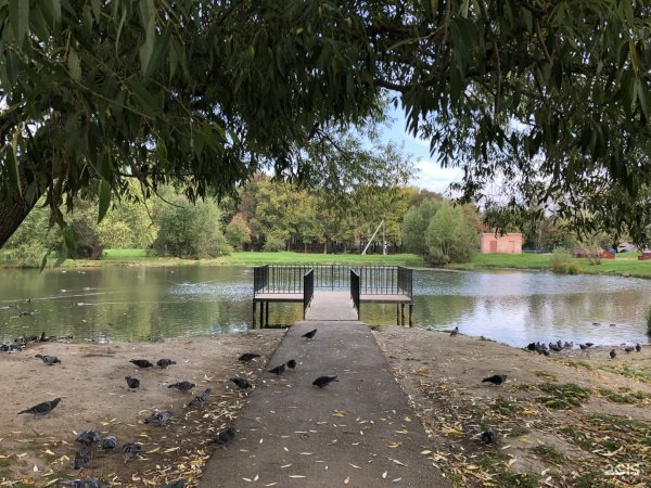 Ковыринский парк Вологда