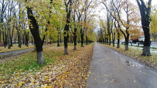 Парк Вологда