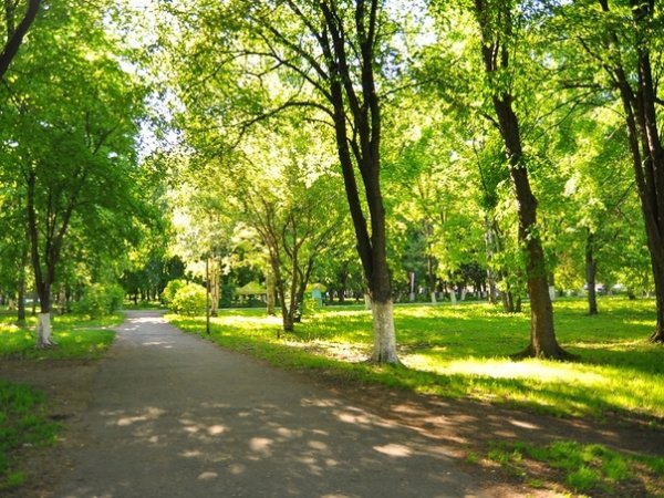 Парк культуры и отдыха ветеранов труда Вологда