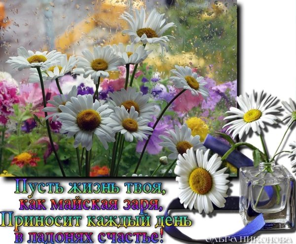 Пусть жизнь приносит радость