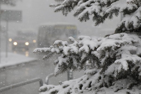 Сильный снег