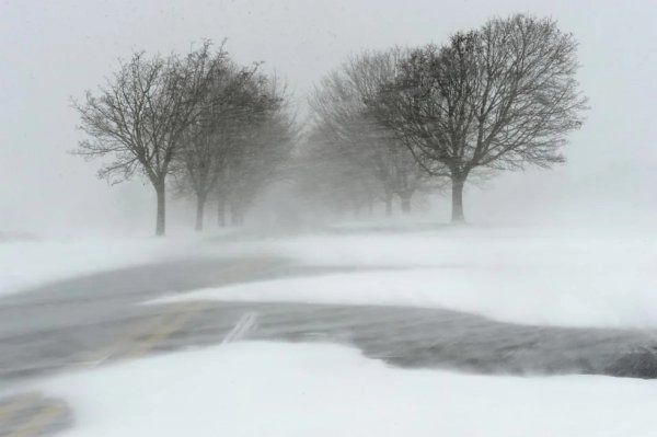 Сильный ветер зима