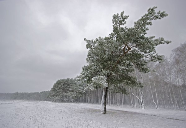 Усиление ветра зимой