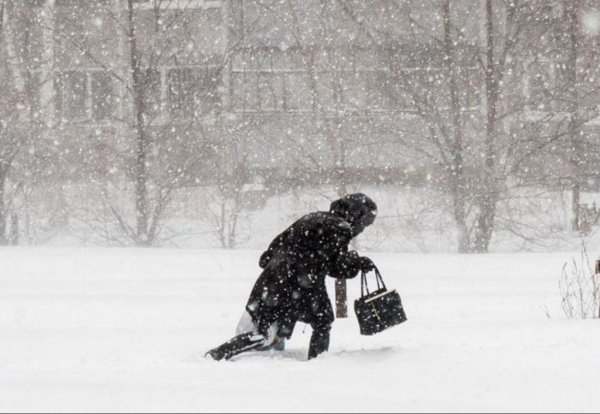Сильный снег метель