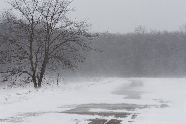 Сильный зимний ветер