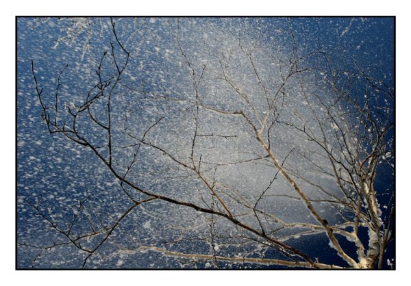 Вьюга весной