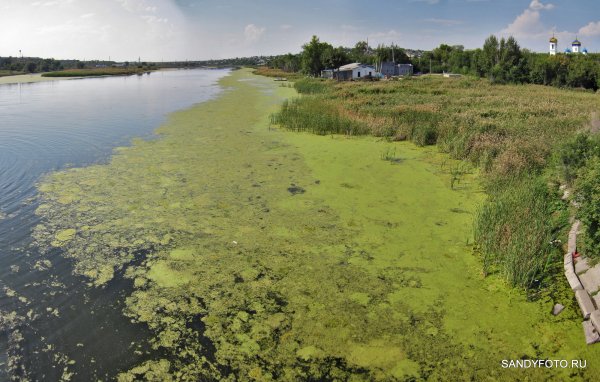 Ил и Тина в реке