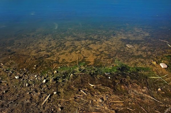 Ил в водоеме