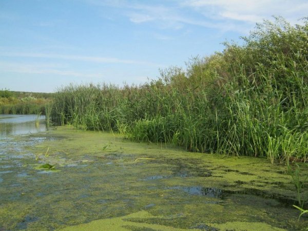 Река улема Татарстан