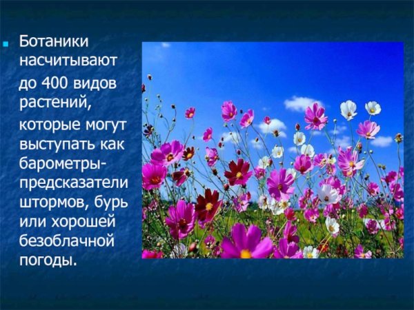 Растения барометры