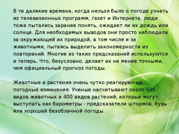 Животные и растения предсказатели погоды