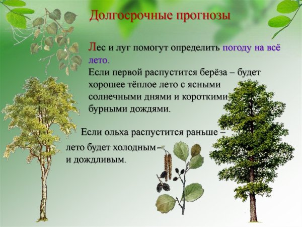 Растения предсказатели