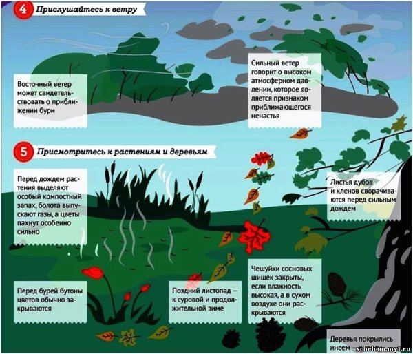 Предсказание погоды по народным приметам