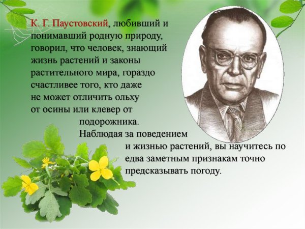 Творчество Паустовского