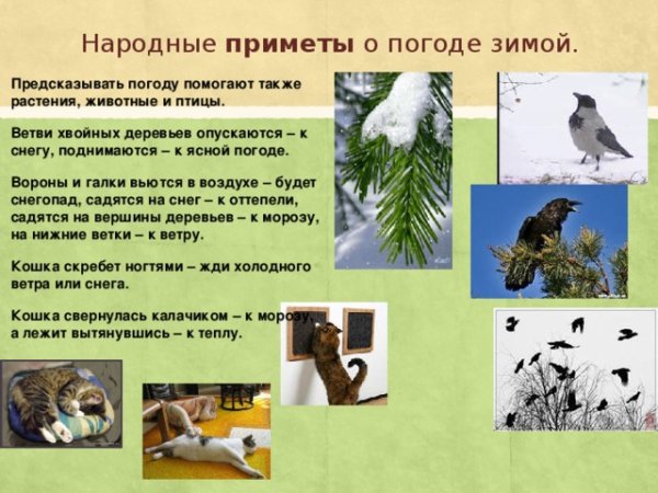 Приметы на погоду