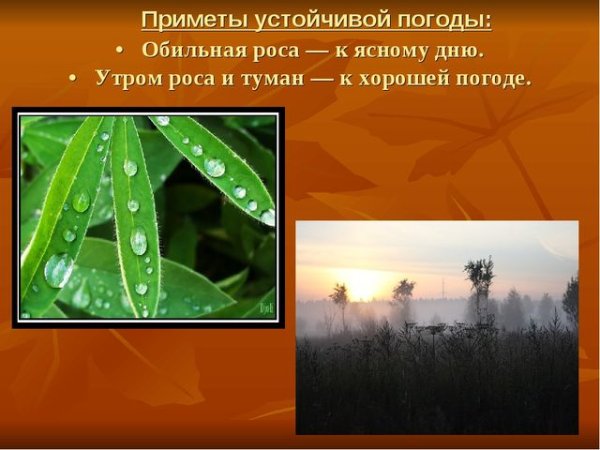 Приметы о росе