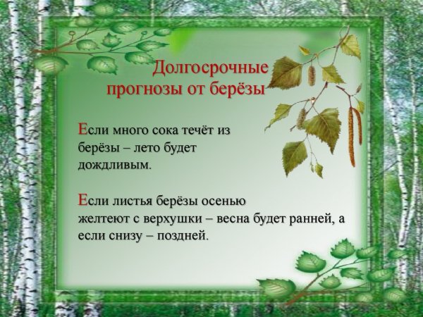 Растения которые предсказывают погоду