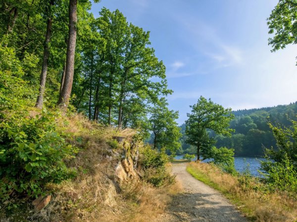 Сосновый Бор Подмосковье водохранилище