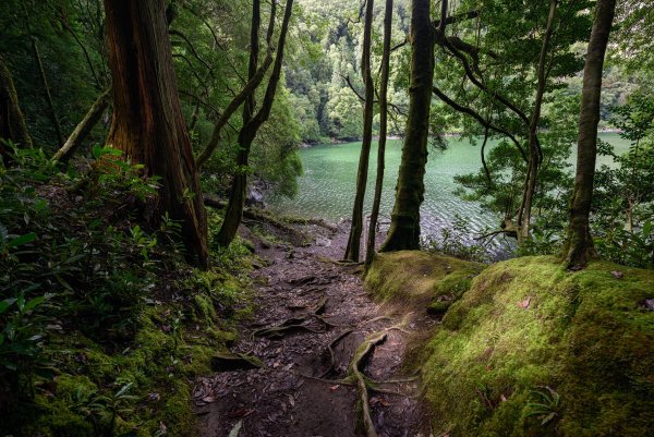 Лесная тропинка к озеру