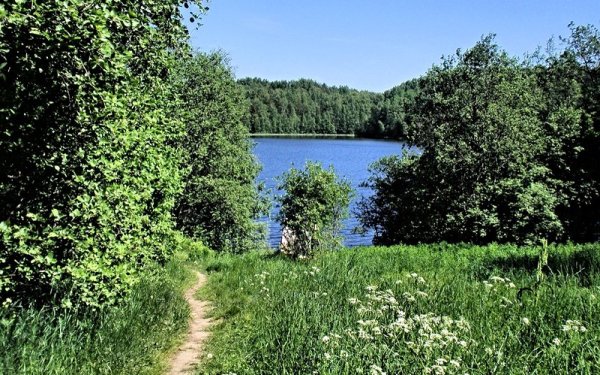 Лесная тропинка к озеру