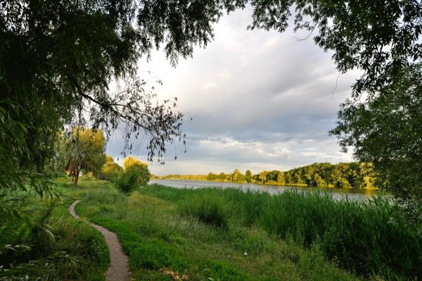 Тропинка вдоль речки