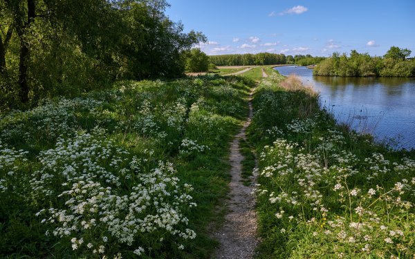 Тропинка вдоль реки