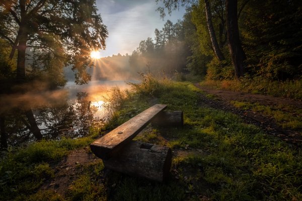 Лес река рассвет