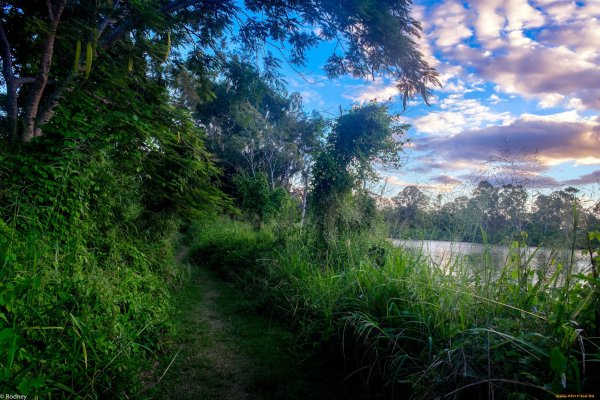 Тропинка к озеру
