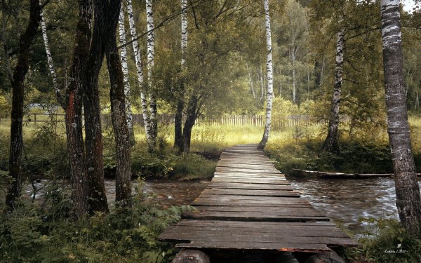 Старый деревянный мостик