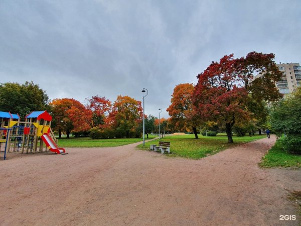 Пионерский парк СПБ