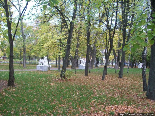 Курск лесопарки