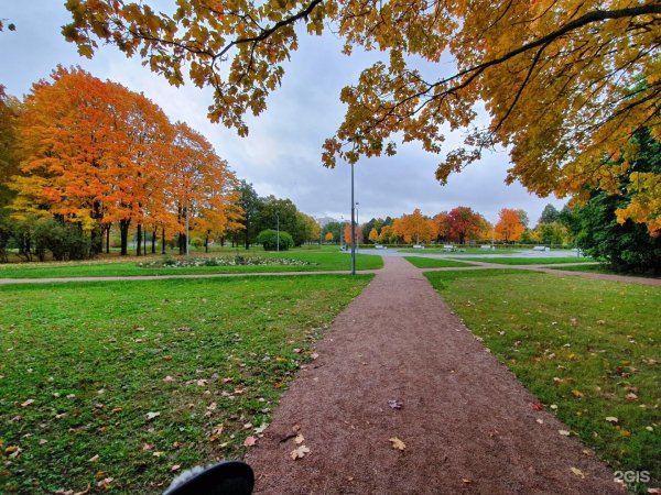 Пионерский парк Санкт-Петербург