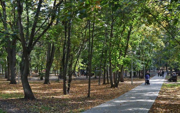 Пионерский парк Тамбов