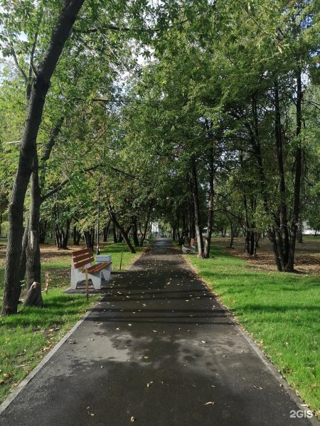 Пионерский парк Брянск