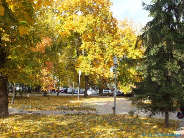 Осень в Новоалтайске