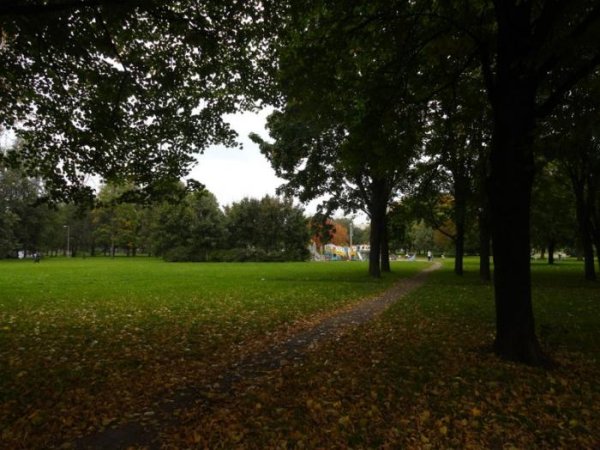 Пионерский парк Санкт-Петербург