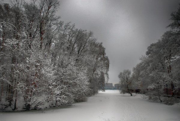 Пасмурный зимний день