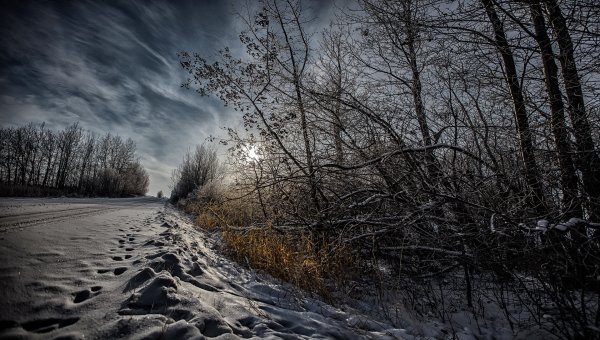 Пасмурная зима