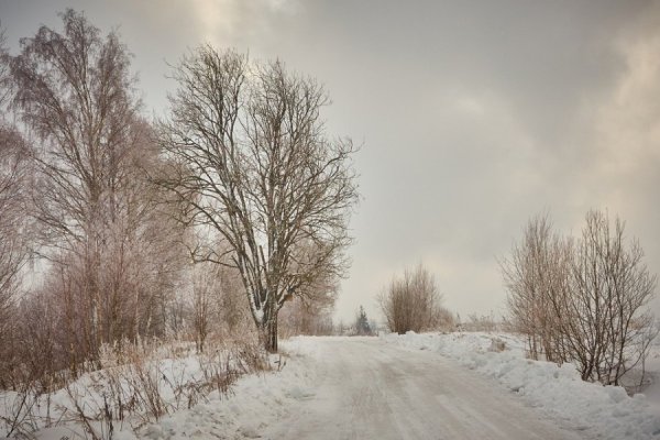 Пасмурно зимой