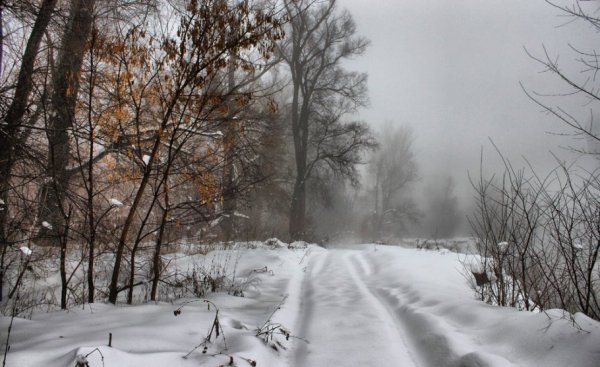 Пасмурная зима