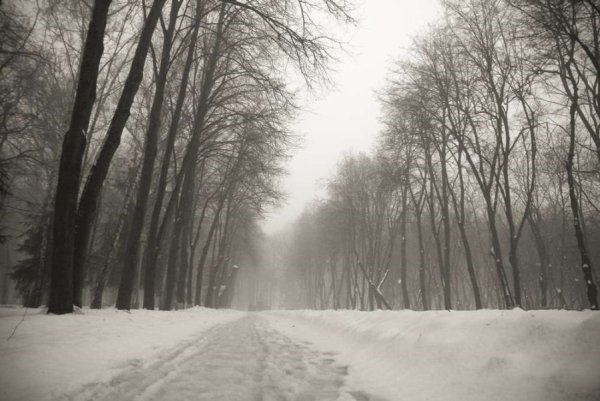 Пасмурная зима в городе