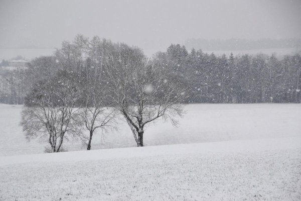 Пасмурный зимний день
