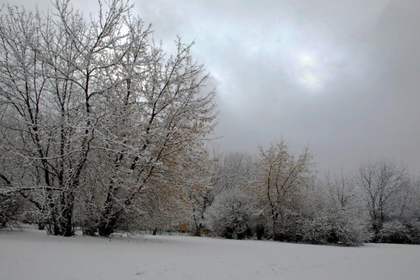 Хмурая зима