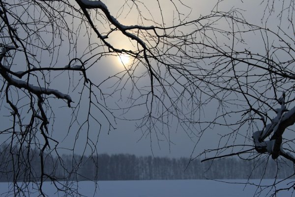 Пасмурная зима Новочеркасск